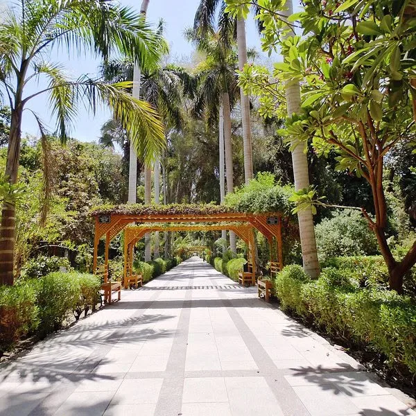 The botanical gardens of Kitchener's Island on the Nile at Aswan