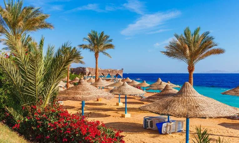 Palm-lined Red Sea resort beach