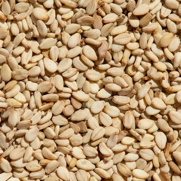 Sesame seeds